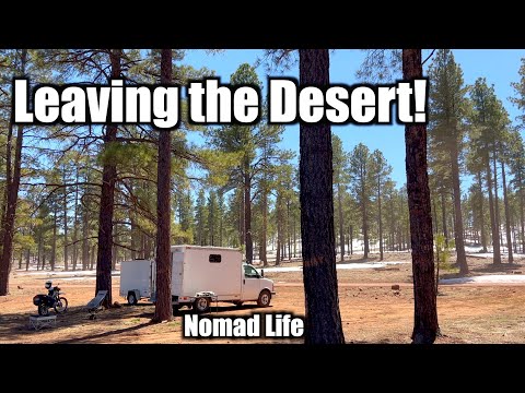 Leaving the Desert - Moving Camp