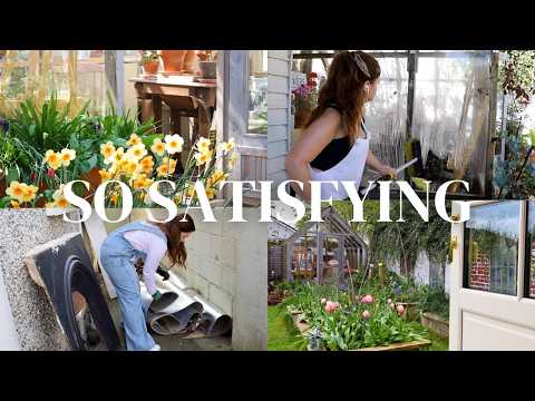 I Finally Tackled the Garden… Months of Mess Cleared