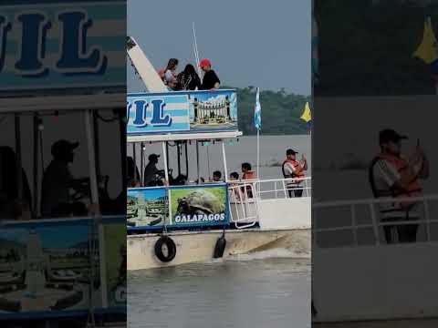 Tour en el caudaloso río Guayas de Guayaquil/ Tour on the Guayas-Guayaquil River