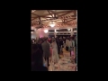 Wagner Bridal Chorus - Harp and Guitar - Live Ware Wedding