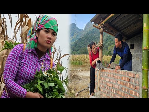 Grapefruiternte – mein Mann ist zu 90 % mit der neuen Küche fertig