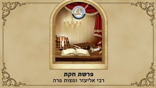 הרב מנחם מנדל פומרנץ | שיעור לפרשת חוקת תש"פ • רבי אליעזר ומצות פרה •