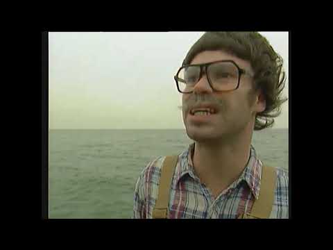 Vindhætterne: Hvalfarmer