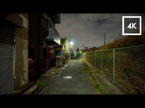 3AM Walk - Tokyo,Japan | Walk Around Skytree to Visit the Earliest-Blooming Cherry Tree | 4K