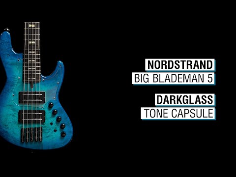 Nordstrand Big BladeMan 5 + Darkglass Tone Capsule - Elwood L5a-24 34"scale