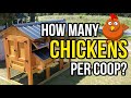 How many chickens fit in a coop? The real answer!
