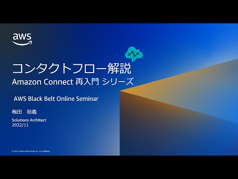 アオアオアマゾンについて詳しく解説