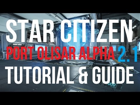 Star Citizen 2.0 Alpha Tutorial & Guide