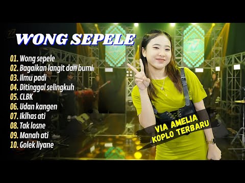 Via Amelia - WONG SEPELE - BAGAIKAN LANGIT DAN BUMI || FULL ALBUM DANGDUT