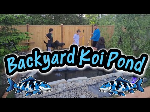 DIY Backyard Koi Pond Build | Family Project Start to Finish @Thepuyalluphobbyhut