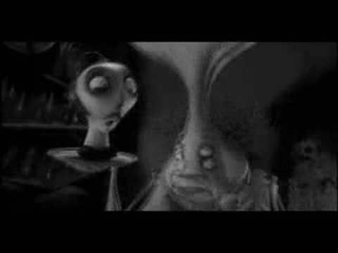 download lagu mp3 mp4 Coffin Cats, download lagu Coffin Cats gratis, unduh video klip Coffin Cats