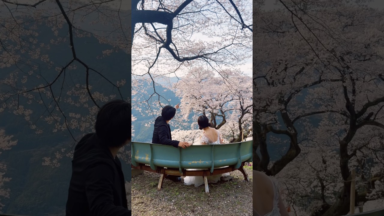 彼女と全国47都道府県でセルフウェディングフォトを撮る旅をしています。