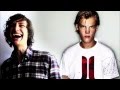 Avicii Levels VS Gotye Ft Kimbra Somebody That I Used To Know