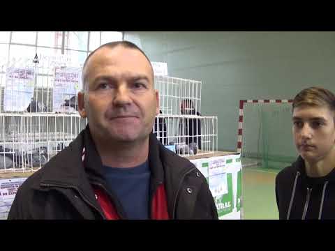 Racing Pigeons Breeder Interview Mr Bejinaru Nicu Mehedinti Romania 2019 November 16