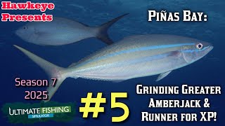 Ultimate Fishing Simulator #5 - Piñas Bay: Grindng Greater Amberjack & Rainbow Runner for XP!