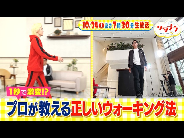 サタプラ🈑試して！醤油１１商品比較★№１が伝授！正しい歩き方★オリコンの裏側