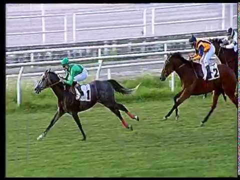 Galoppo 19/06/2020 - 5ª corsa - TRIS