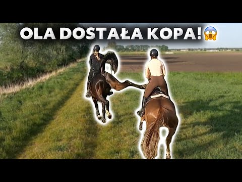 OLA MUDRY DOSTAŁA KOPA OD KONIA 😱 | Pojechaliśmy w teren ☀️| Kolejny trening skokowy 🐴
