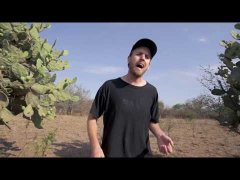 Abrime Los Ojos - El plan de la Mariposa