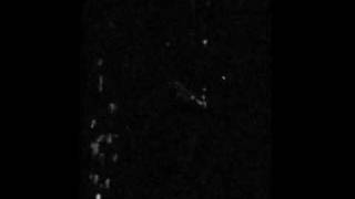 The Bastards Have Landed