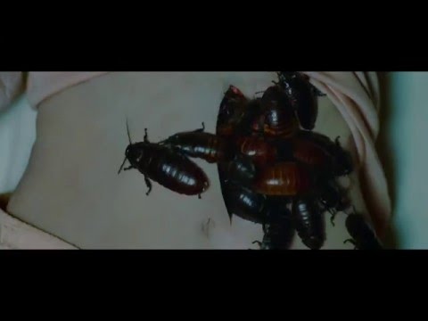 Ölümcül Oyun / Goodnight Mommy - Türkçe altyazılı fragman