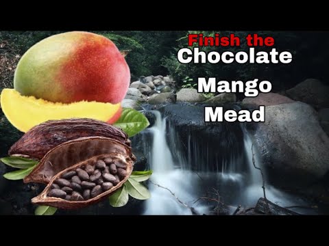 , title : 'Finish the Chocolate Mango Mead - simple recipe-How to make mead'