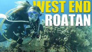 Scuba Diving WEST END of Roatan - Ep 107