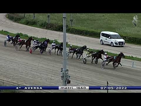 Aversa trotto 7 Maggio 2022 - 4° Corsa