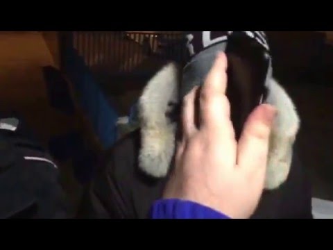 Sarabanda con Jack Molesto - 2a puntata - 3a parte - 7X30