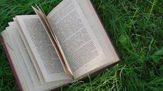 emigrate - novo amor (slowed and reverb)