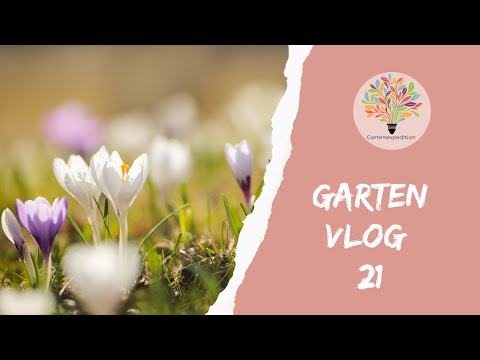 Winteraussaat & Erde mischen: Praxis-Leitfaden für Kaltkeimer im Naturgarten