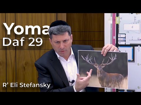 Daf Yomi Yoma Daf 29 by R’ Eli Stefansky