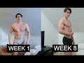 My 8-Week Fat Loss Transformation | From Dirty Bulk To Cut