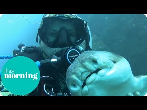 I'm Best Friends With a Shark | This Morning