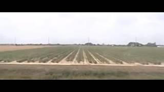 Virginia Girl / Sunlit Cross / Luke Roberts