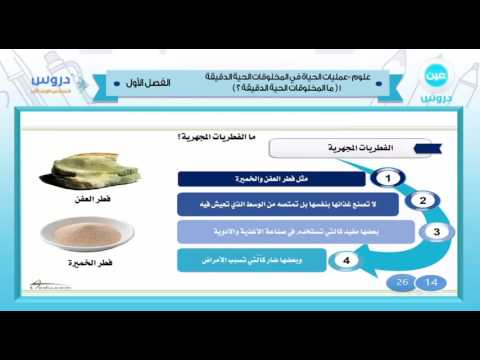 السادس الابتدائي | الفصل الدراسي الأول 1438 | علوم | عمليات الحياة في المخلوقات الحية الدقيقة 2