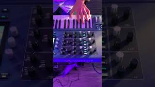 Video thumbnail for Waldorf Quantum MK2 is here! by Hand in Hand Distribution