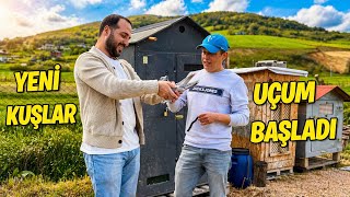 Atakan ve Ercan Abi ile İlk Uçumu Yaptık 🕊️Yeni Kuşlar Geldi 💯 Kanat Güçlendirme🕊️ Taklacı Güvercin