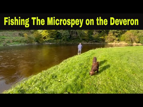 Microspey Fly Rod Secrets Every Angler Should Know