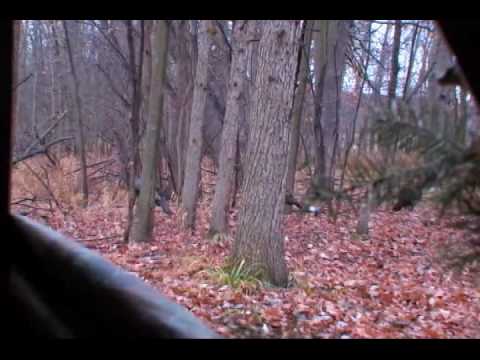 Fall Turkey Hunt.mp4