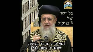 בדרכו של אבא I מרן הראשון לציון הגאון רבי דוד יוסף שליט"א #הראשון_לציון #הרב_עובדיה_יוסף (מוסדות יחווה דעת) - התמונה מוצגת ישירות מתוך אתר האינטרנט יוטיוב. זכויות היוצרים בתמונה שייכות ליוצרה. קישור קרדיט למקור התוכן נמצא בתוך דף הסרטון