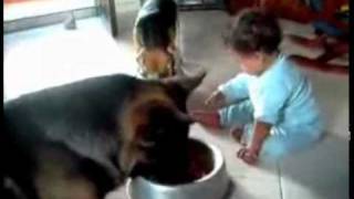 Дай-же поесть…