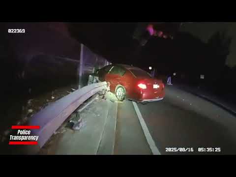 CHP Pursuit of OFF DUTY Armed Security Guard in Los Angeles Ends in Destruction