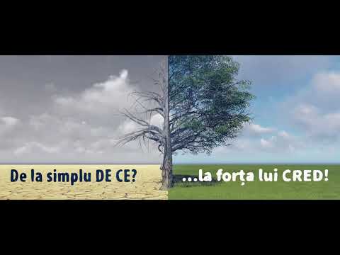 Generic Festivalul Companionilor - Brașov