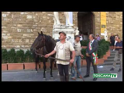 2017-09-02 FIRENZE - CAVALIERI DEI SANTUARI IN PIAZZA SIGNORIA