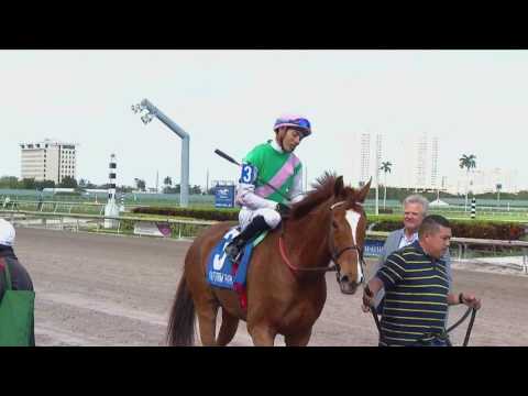 Dacita, Sea Calisi Head New York Stakes