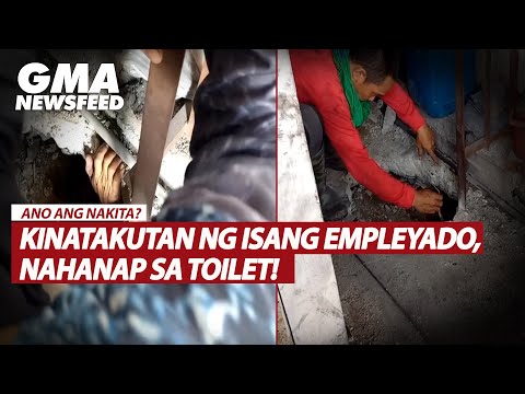 Kinatakutan ng isang empleyado, nahanap sa toilet! GMA News Feed