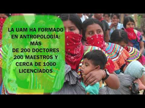 El mercado laboral de la antropología en México