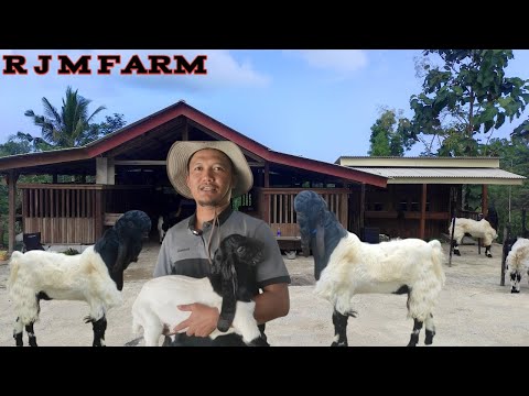 RJM FARM, FULL FLEXIBLE MATERIAL @alekbudisantoso9048