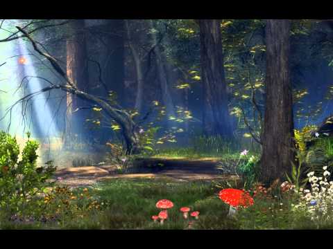 Волшебный Лес